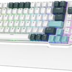 Royal Kludge RK96 – 96% Mechanical Keyboard, Wireless + Wired, RGB